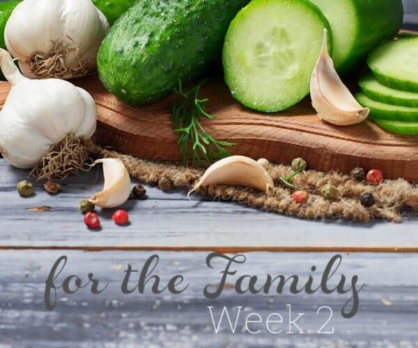 Real Food – August 2011 Week 2