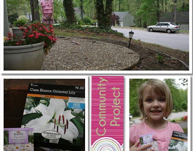 Our Environment ~ Community Final Project