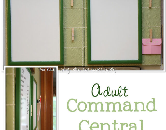 Adult Command Central