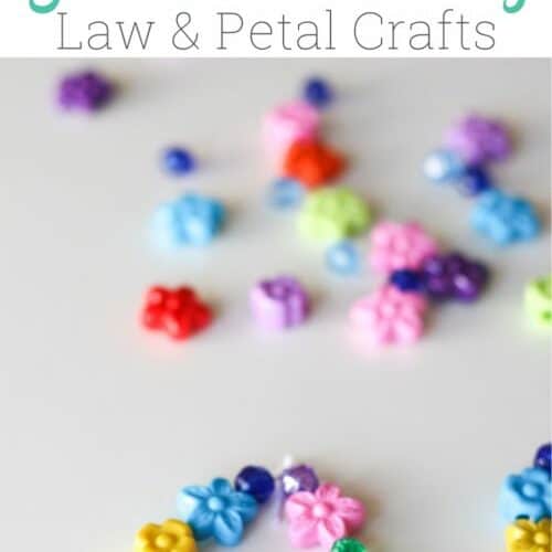 Daisy Petals: Law/Promise & Yellow Petal Activity