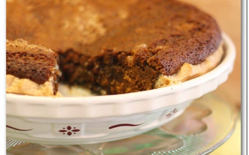 Shoo Fly Pie