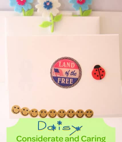 Letters for the Military {Daisy Petals}