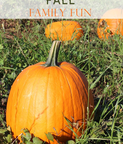 Pumpkin Patch Family Fun