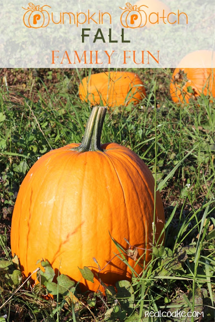 Pumpkin Patch Family Fun - Real Creative Real Organized