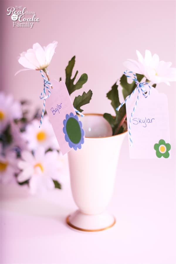 Daisy Girl Scouts ideas for the Flower Garden Journey celebration. Cute and simple ideas to implement. #GirlScouts #DaisyGirlScout #Daisy #Journey #RealCoake