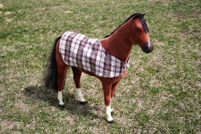 Meaning horse blanket girl Pedestal Magazine