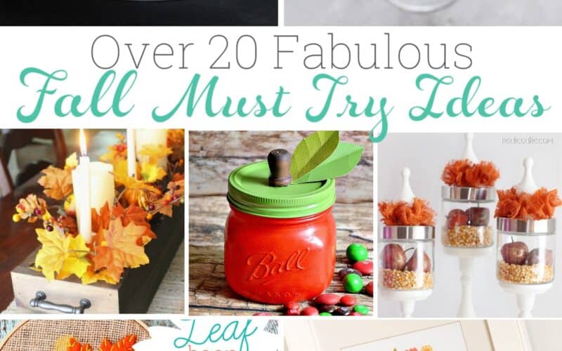 20+ Fabulous Must Try Fall Ideas