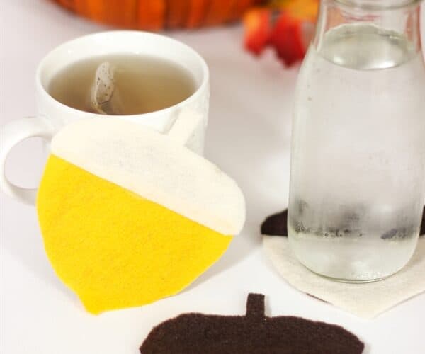 Fall Craft – Make Cute Felt Coasters
