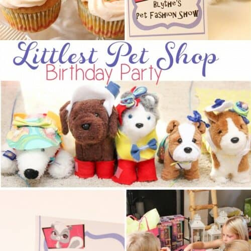 Littlest Pet Shop Birthday Party Ideas