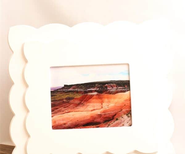 Gorgeous Double Mat DIY Picture Frames
