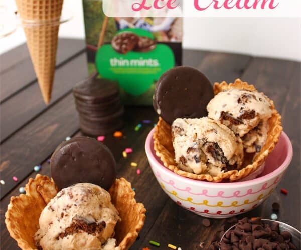 Thin Mint and Chocolate Chip Homemade Ice Cream Recipe