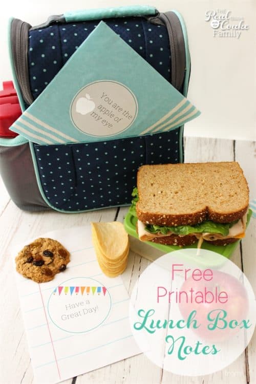 These are cute School Lunch Ideas. Free printable to add cute notes to our school lunches. I can DIY them and foil them as well. So cute!