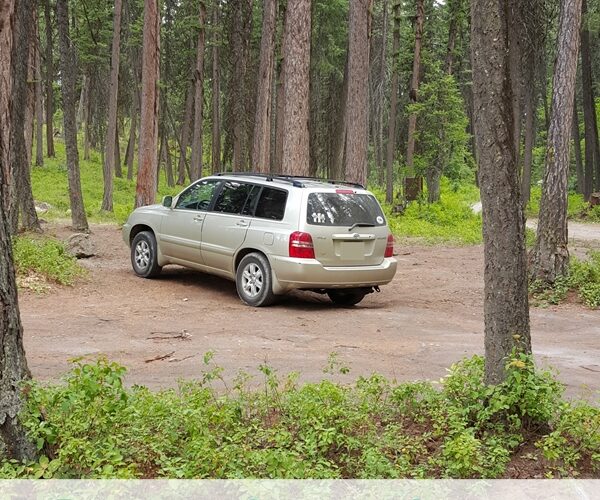 Our 2015 Family Road Trip ~ Week 4