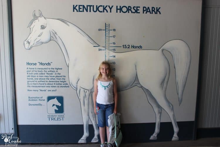 This mom and her two kids went on a 7,000+ mile Family Road Trip. You can not believe all the fun they find and things they do. Amazing! Need to plan some travel like this for next summer.