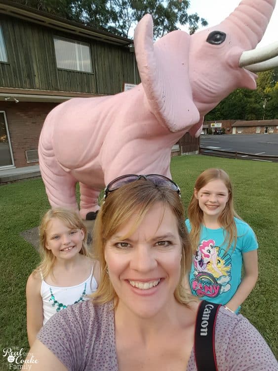 This mom and her two kids went on a 7,000+ mile Family Road Trip. You can not believe all the fun they find and things they do. Amazing! Need to plan some travel like this for next summer.