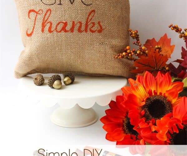 Super Simple DIY Decorative Pillow for Thanksgiving
