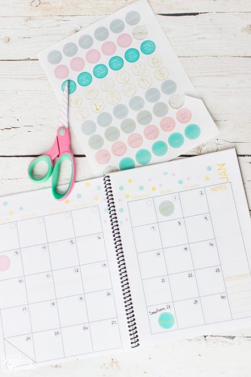 OMG These are the best ideas on how to organize the family calendar. I love the cute printable calendar and the amazing ideas for organizing everyone. 