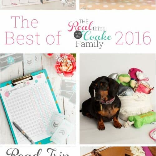 Top Posts of 2016