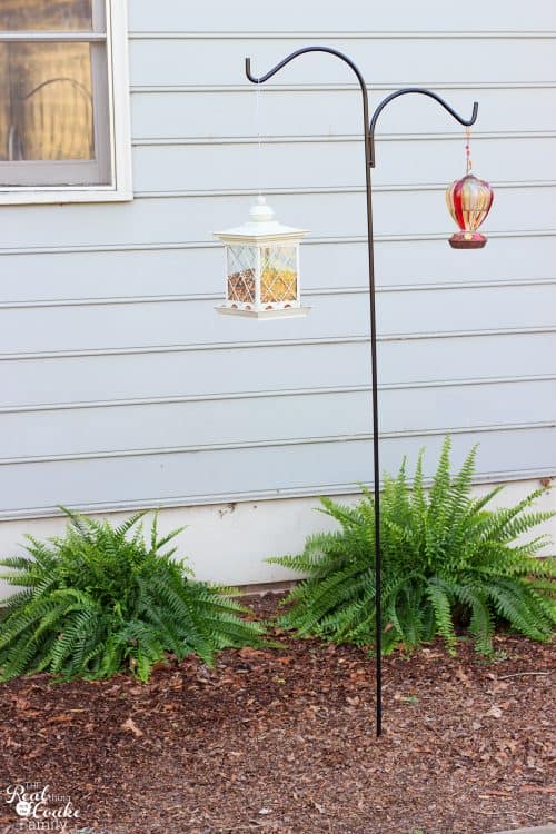These are great DIY backyard ideas. Love yard ideas that are simple, easy and cheap and that I can't kill off. These are perfect. 