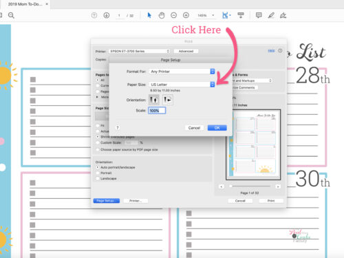 computer screen shot showing paper size dialog box