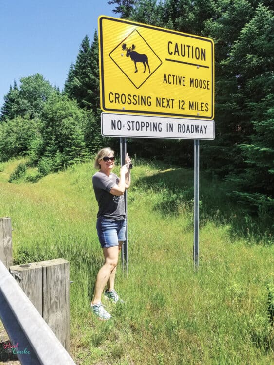 Caution active moose crossing sign in New Hampshire