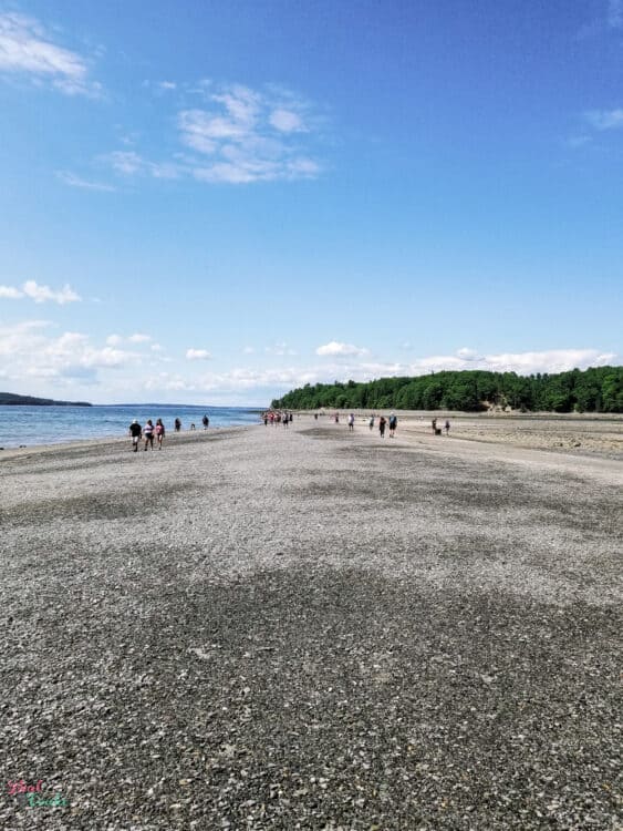 Sand bar at low tide at Acadia national park