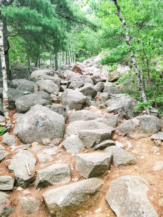 rocks on path leading to top of bubble rock at acadia national park