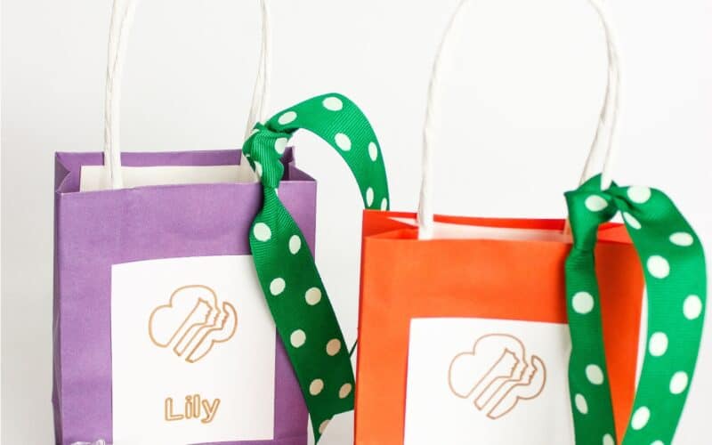 Easy to Make Award Ceremony Badge Presentation Bags