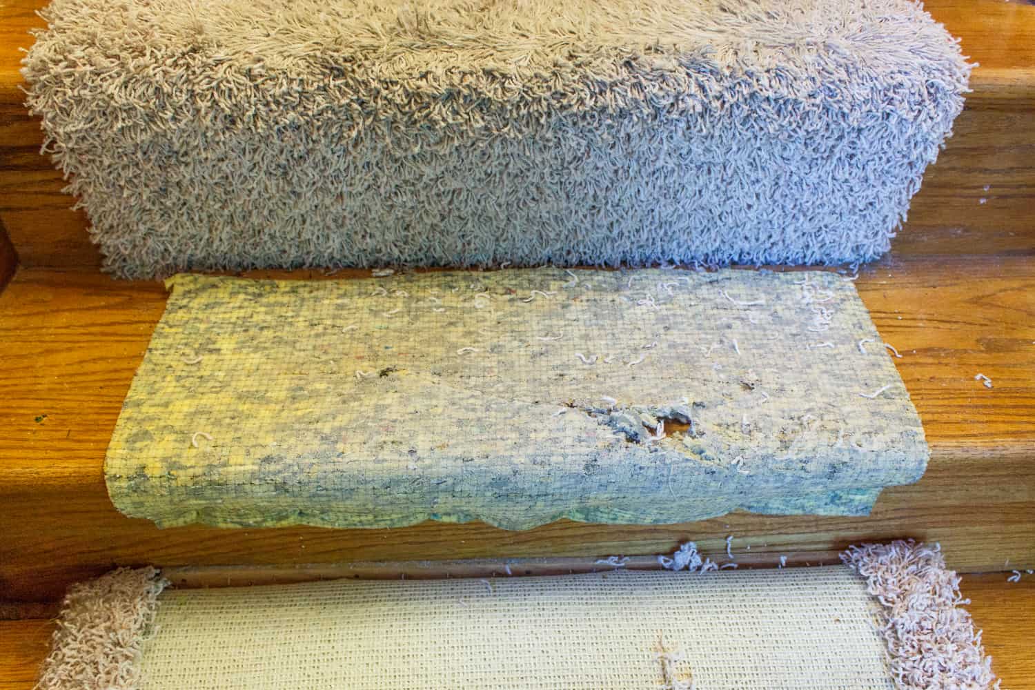 This is how to remove carpet from stairs - Real Creative Real Organized
