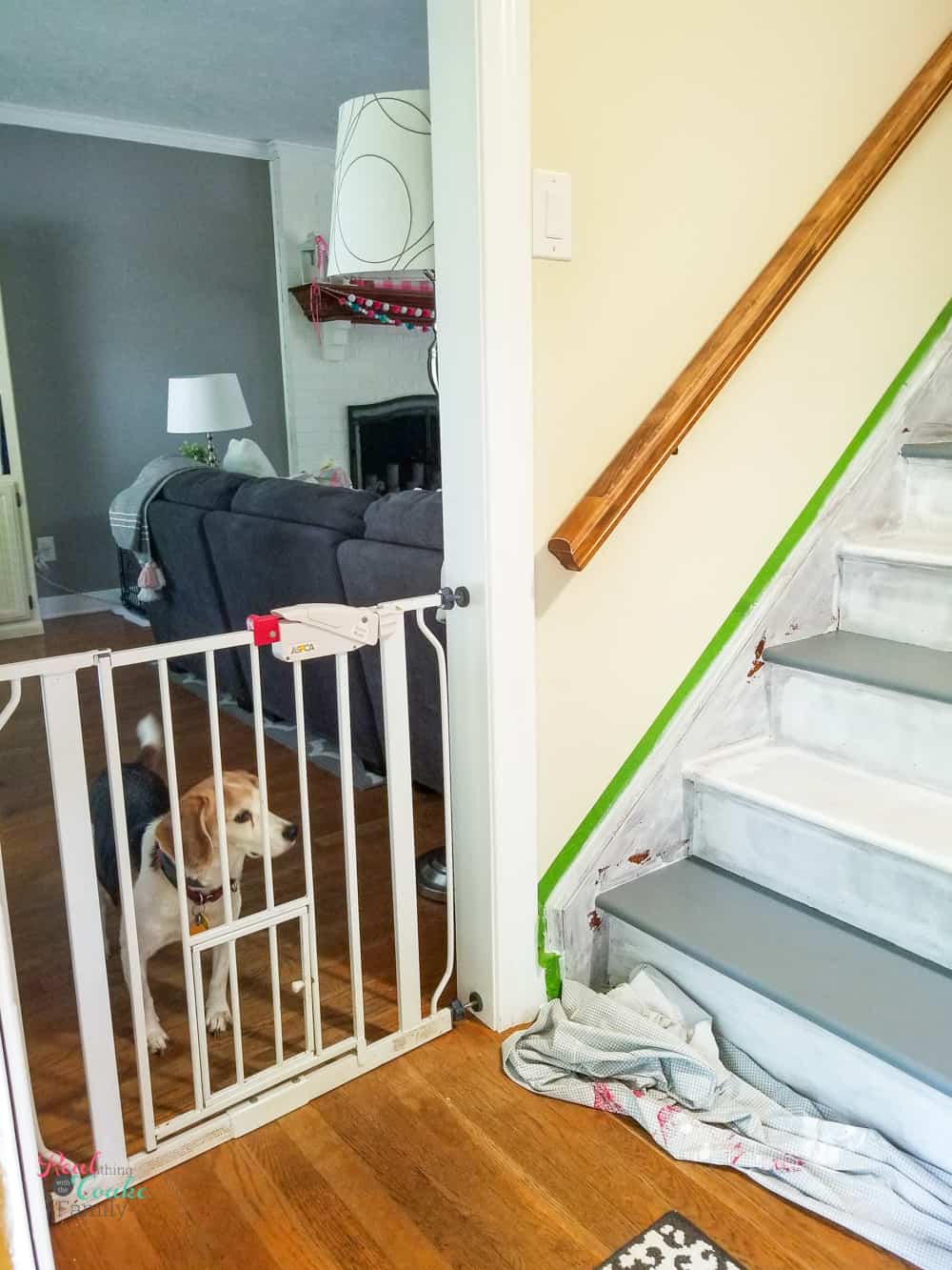 blocking dog from wet paint on stairs