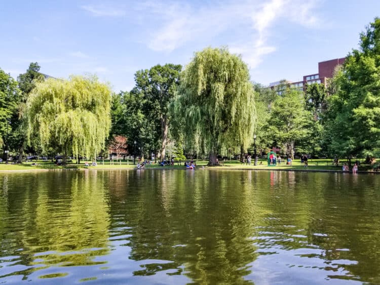 Boston public gardens